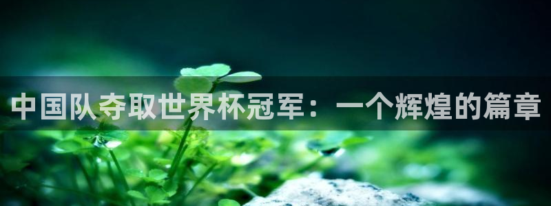世界杯欧洲区预选赛赛程:中国队夺取世界杯冠军:一个辉煌的篇章