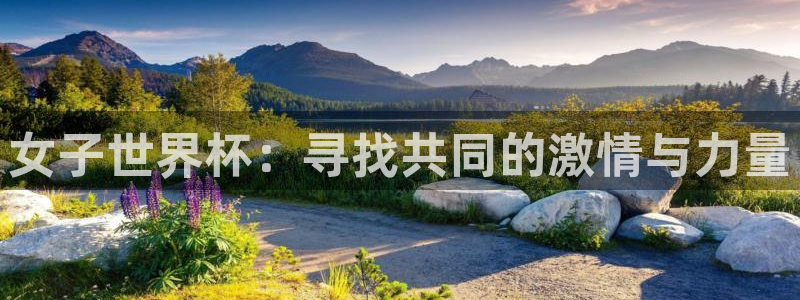 世预赛免费直播入口:女子世界杯:寻找共同的激情与力量