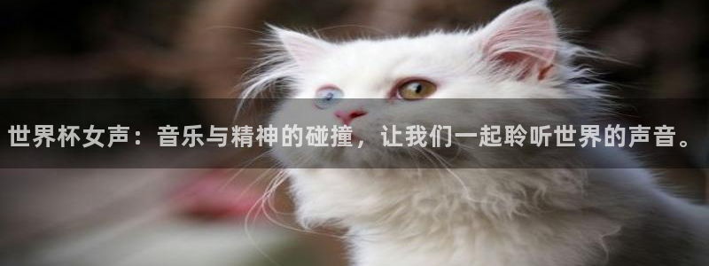 2026世界杯欧洲预选赛赛程表:世界杯女声:音乐与精神的碰撞,让我们一起聆听世界的声音。