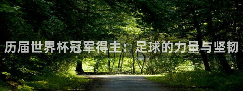 2026世界杯倒计时:历届世界杯冠军得主:足球的力量与坚韧