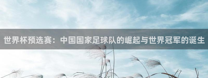 足球世界杯:世界杯预选赛:中国国家足球队的崛起与世界冠军的诞生