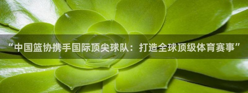 世界杯比赛赛程:“中国篮协携手国际顶尖球队:打造全球顶级体育赛事”